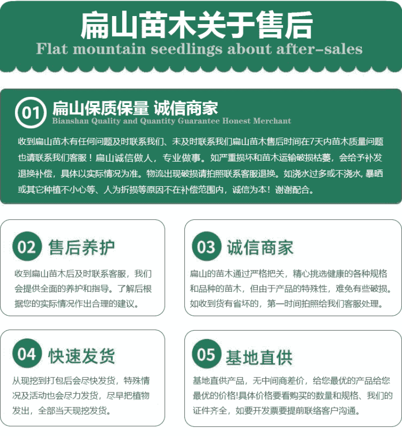 龙岩杨梅树苗批发黑炭杨梅苗培育基地50CM黑炭又大又黑
