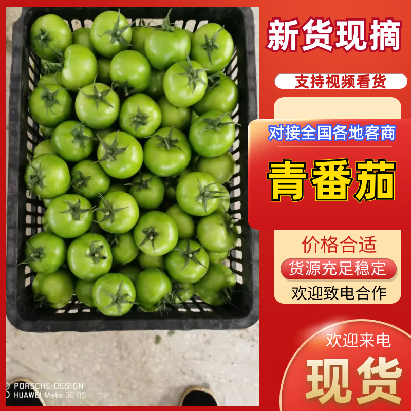 热卖西红柿青番茄基地直销量大质优价格优惠一手货源