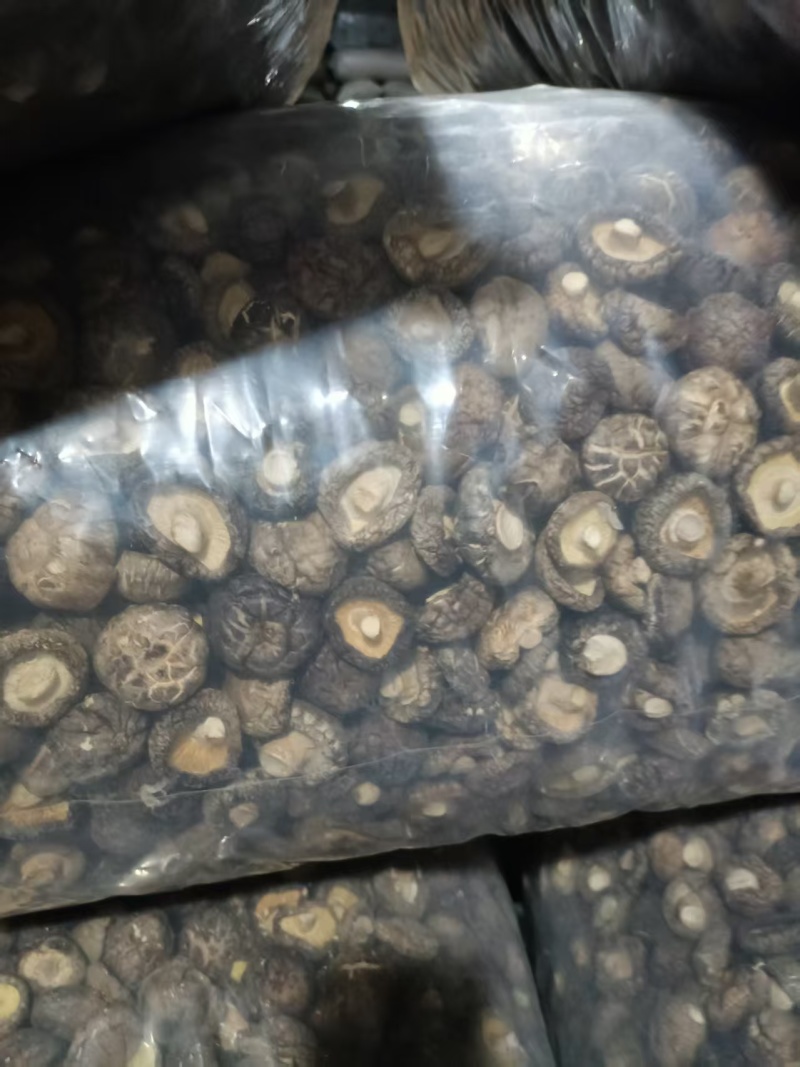 优质精品干香菇花菇各类品级型号的从2厘米至6厘米及以上的