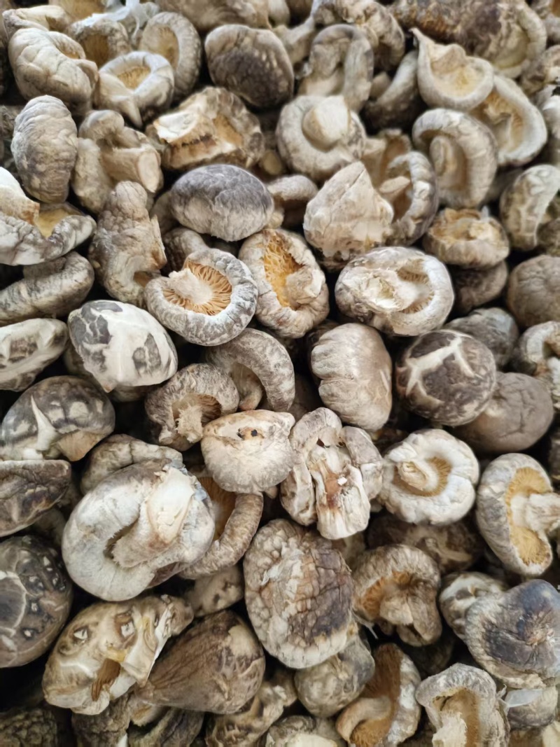 优质精品干香菇花菇各类品级型号的从2厘米至6厘米及以上的