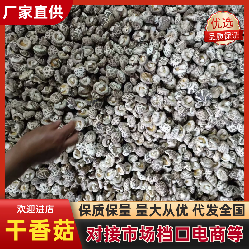 随州干货花菇，2-10厘米以上，各类品级、通货、精品都有