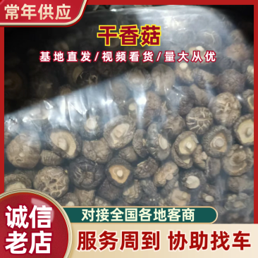 随州干货花菇，2-10厘米以上，各类品级、通货、精品都有