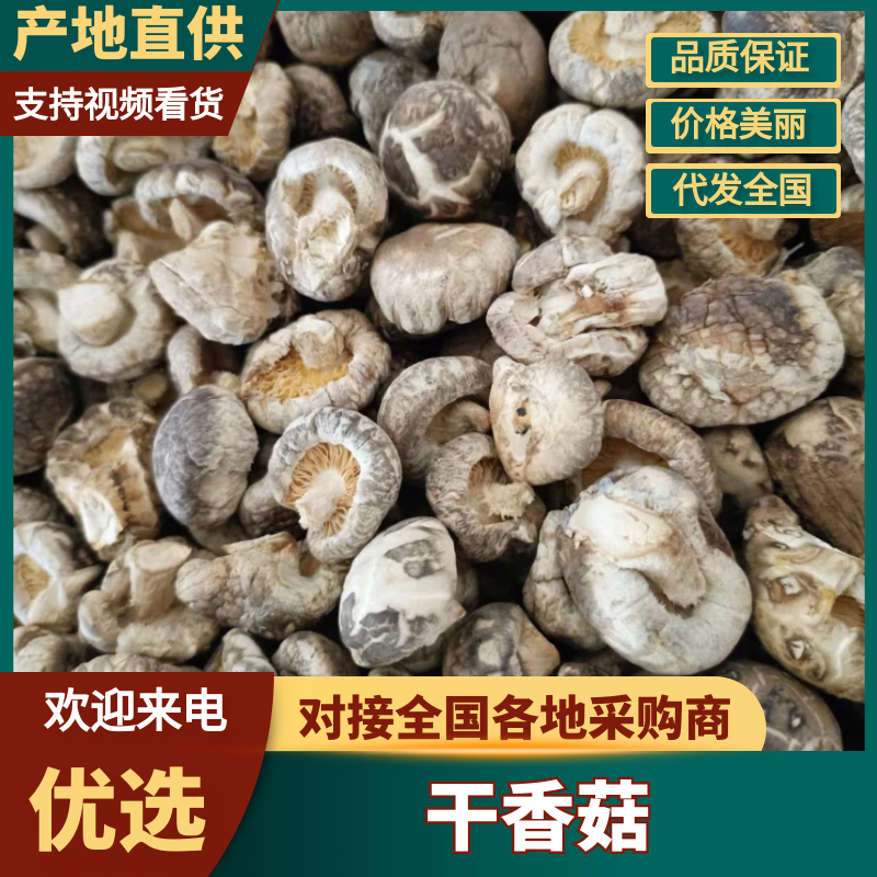 随州干货花菇，2-10厘米以上，各类品级、通货、精品都有