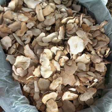 柴质土茯苓，符合药典标准保质保量供货价钱实惠