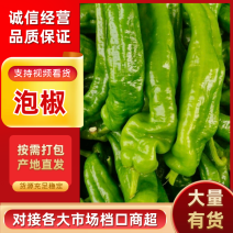 上蔡县万亩大棚鲜辣椒基地电商市场薄皮青椒芜湖椒！保证质量