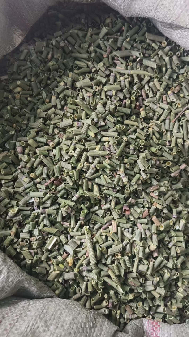 吉林木贼，节节草，源头产地干货，规格齐全大量批发