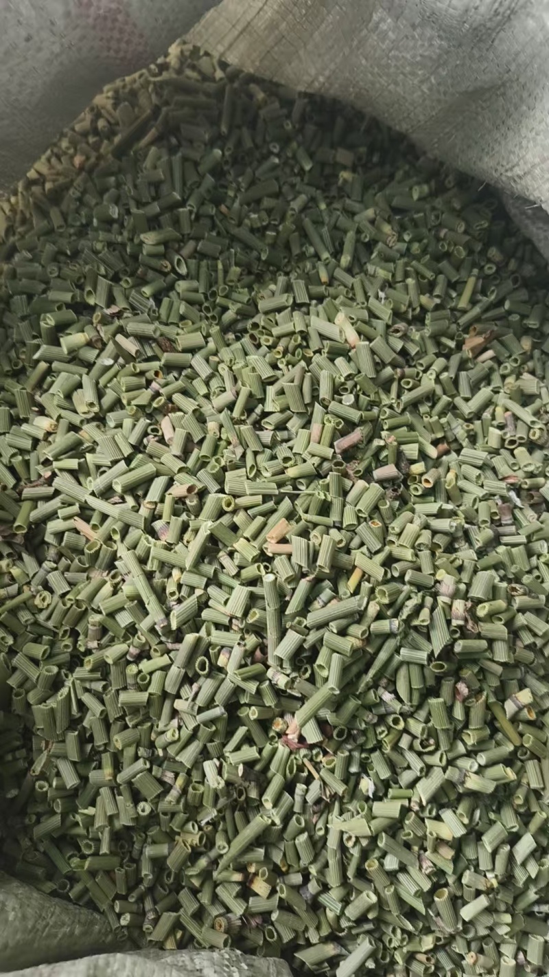 吉林木贼，节节草，源头产地干货，规格齐全大量批发