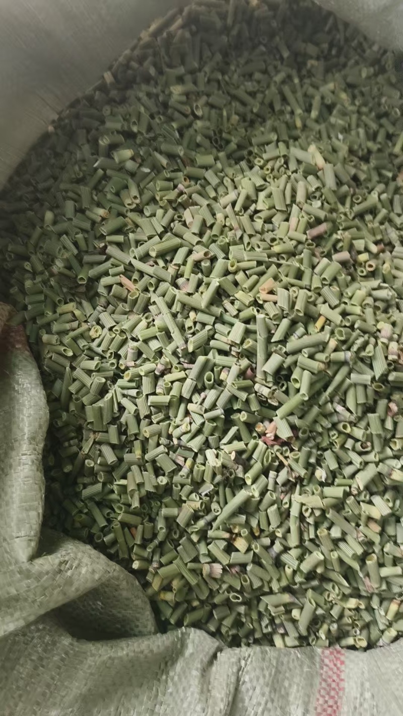 吉林木贼，节节草，源头产地干货，规格齐全大量批发