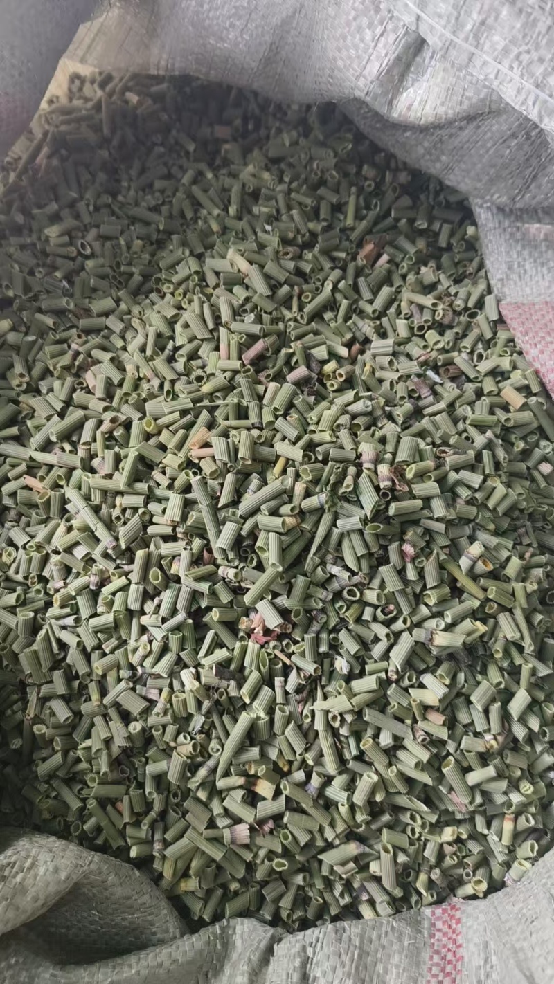 吉林木贼，节节草，源头产地干货，规格齐全大量批发