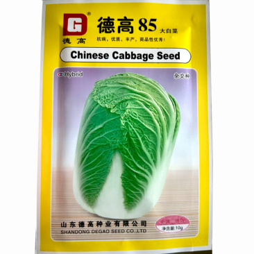 德高85大白菜种子10克75天帮白而薄净菜率高