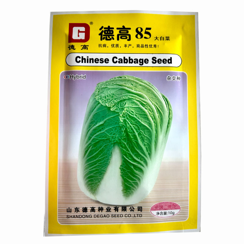 德高85大白菜种子10克75天帮白而薄净菜率高