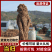 中华当归甲天下，岷县当归甲中华。#岷归片