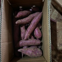 湖北红薯精品紫薯基地一手货源对接市场商超可视频