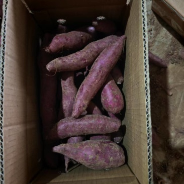 湖北红薯精品紫薯基地一手货源对接市场商超可视频