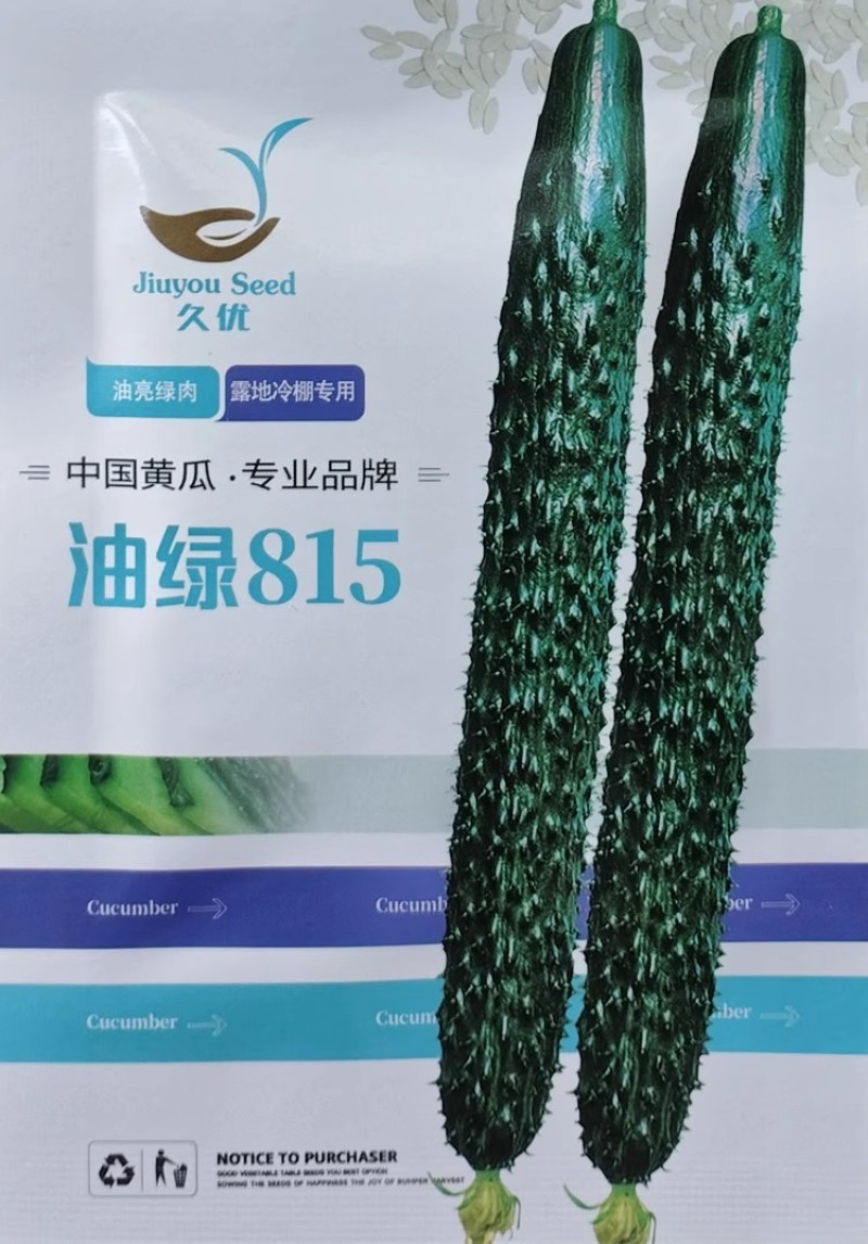 油绿815黄瓜种子油亮绿肉耐热抗病夏秋露地大棚黄瓜种籽