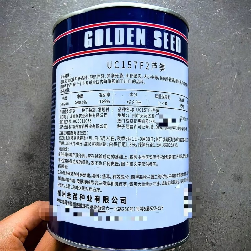 进口芦笋种子UC157芦笋种子早熟性好笋条光滑头部紧实