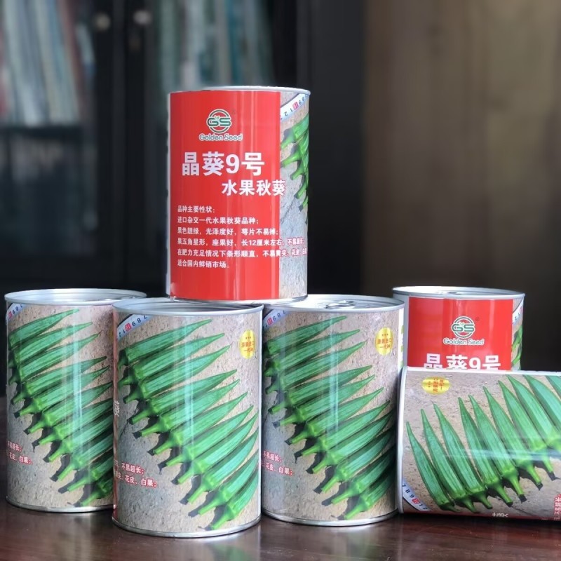 晶葵9号水果秋葵种子进口杂交水果秋葵不易黄尖萼片新鲜