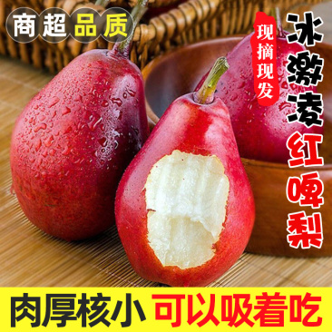 山西红啤梨一件代发产地直发一手货源对接各大电商平台