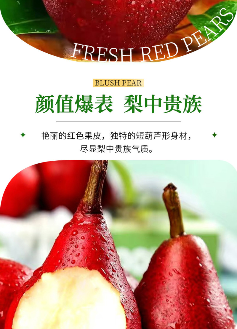 山西红啤梨一件代发产地直发一手货源对接各大电商平台