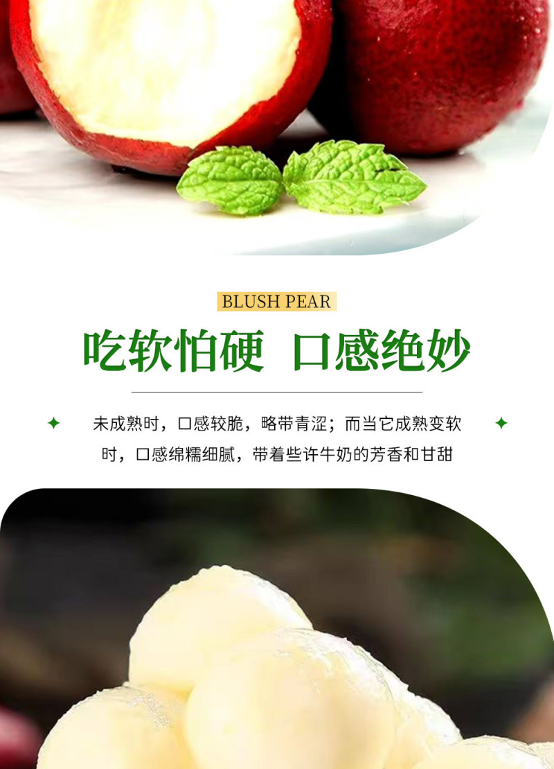 山西红啤梨一件代发产地直发一手货源对接各大电商平台