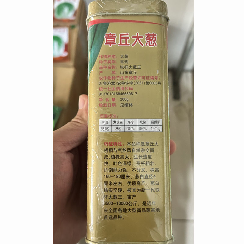 铁杆大葱王种子章丘大梧桐生长速度快抗倒伏葱白结实