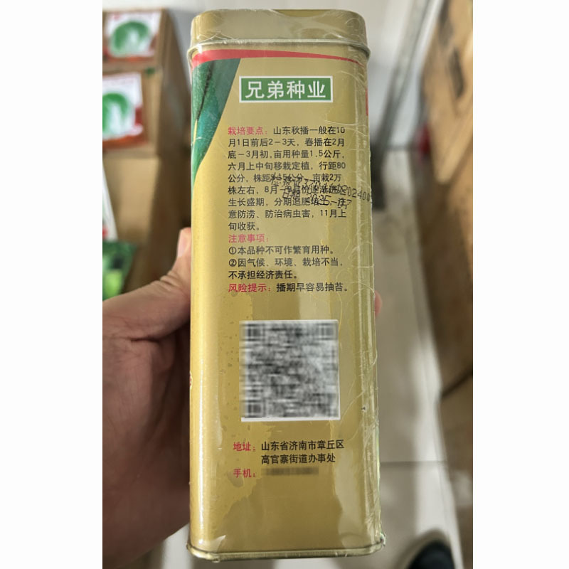 铁杆大葱王种子章丘大梧桐生长速度快抗倒伏葱白结实