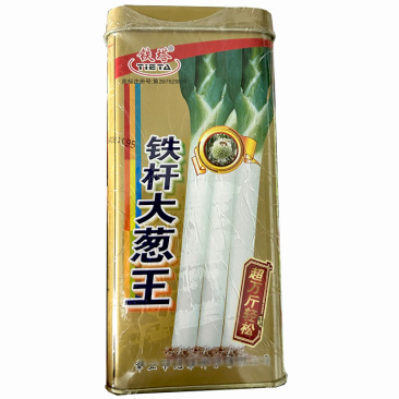 铁杆大葱王种子章丘大梧桐生长速度快抗倒伏葱白结实