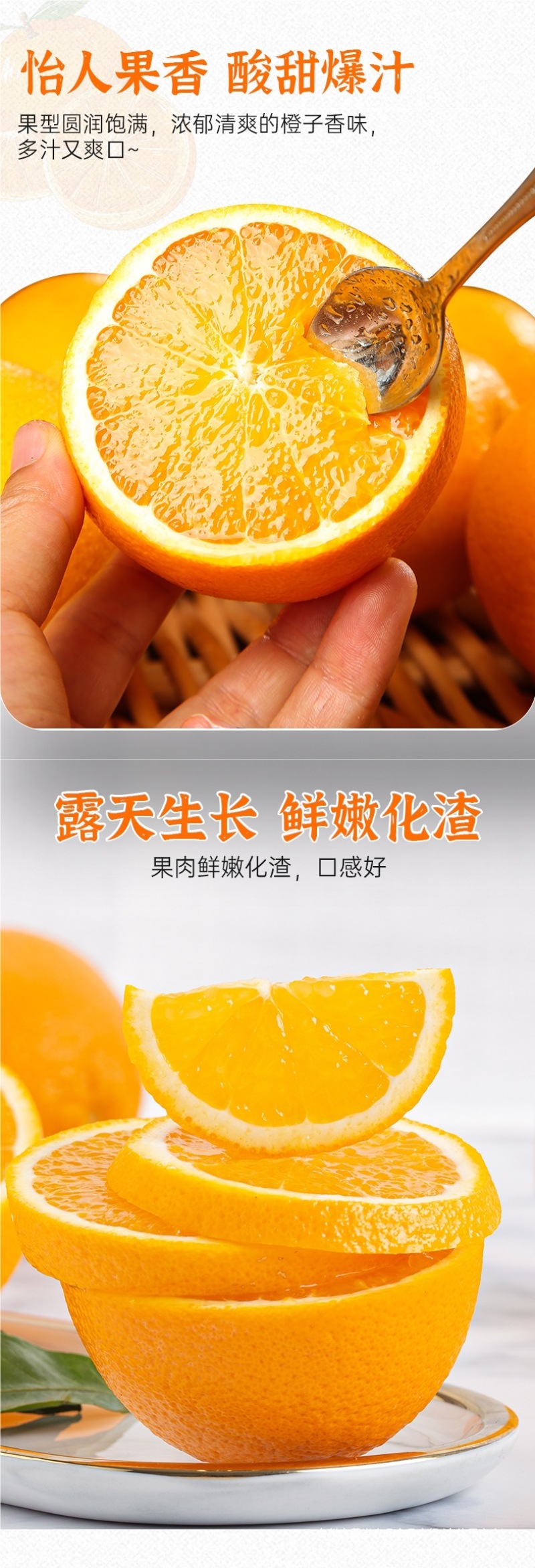 湖北秭归夏橙一件代发产地直发一手货源对接各大电商平台