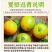 湖北秭归夏橙一件代发产地直发一手货源对接各大电商平台