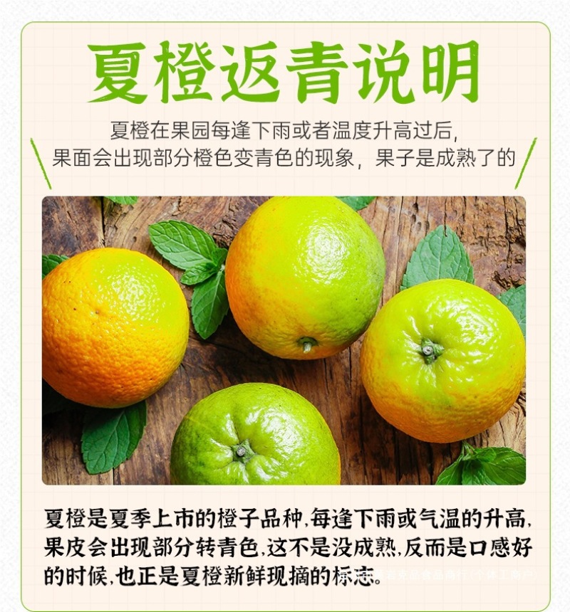 湖北秭归夏橙一件代发产地直发一手货源对接各大电商平台
