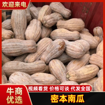 蜜本南瓜湖北南瓜一手货源，规格齐全，实力代办全国发货