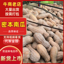 广西蜜本南瓜大量现货供应，规格齐全品，对接电商市场批发商
