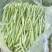 白玉豆角白芸豆对接电商市场商超可视频看货保质保量
