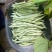 白玉豆角白芸豆对接电商市场商超可视频看货保质保量