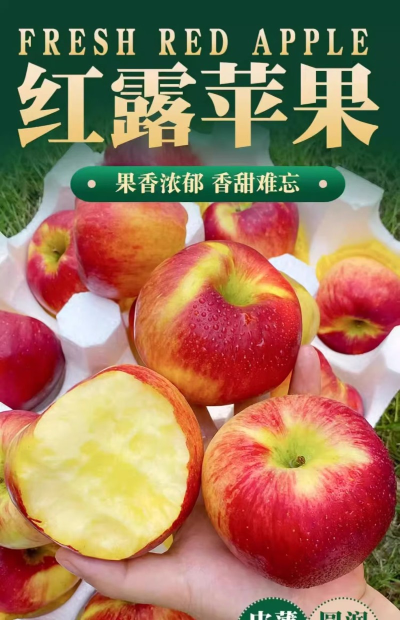 云南红露苹果一件代发产地直发一手货源对接各大电商平台