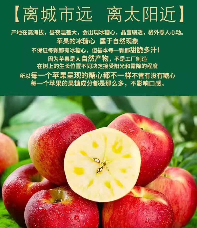 云南红露苹果一件代发产地直发一手货源对接各大电商平台