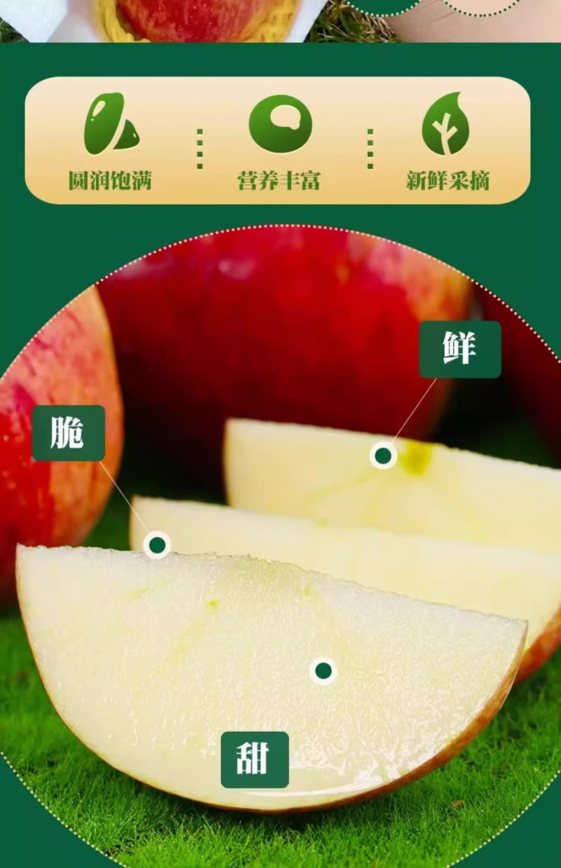 云南红露苹果一件代发产地直发一手货源对接各大电商平台