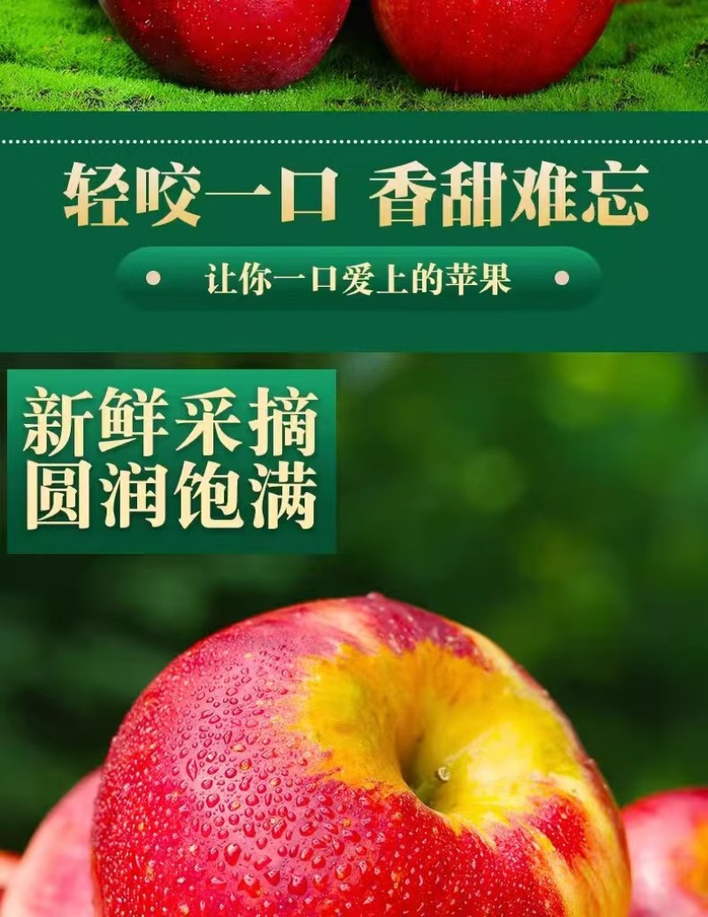 云南红露苹果一件代发产地直发一手货源对接各大电商平台