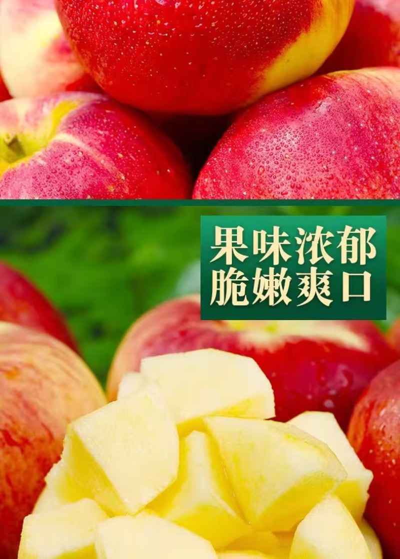 云南红露苹果一件代发产地直发一手货源对接各大电商平台