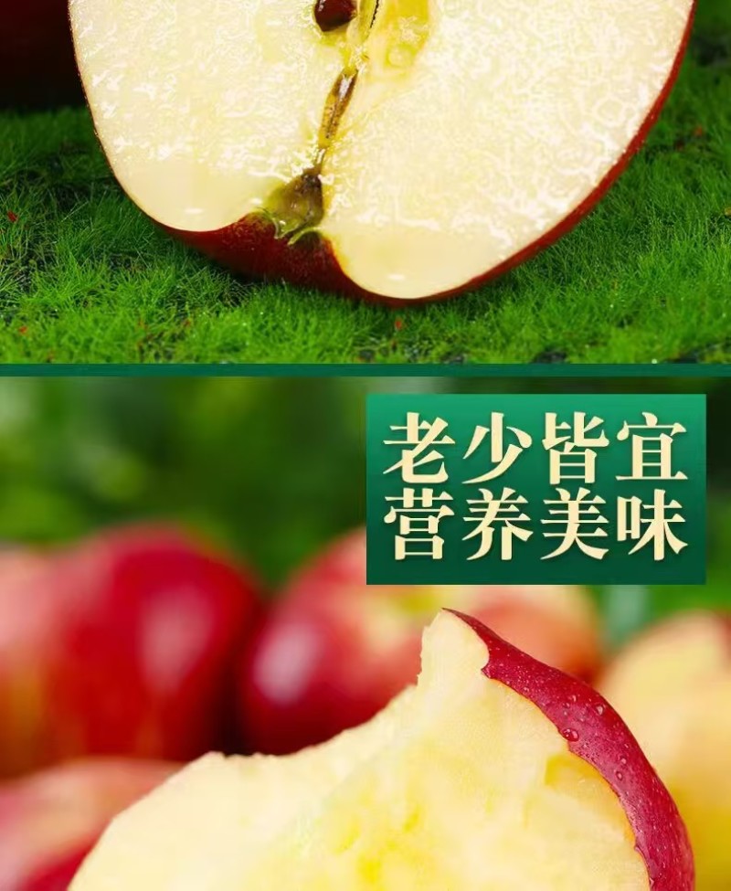 云南红露苹果一件代发产地直发一手货源对接各大电商平台
