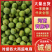 河南青脆李大量上市，价格优惠，货源充足，欢迎采购