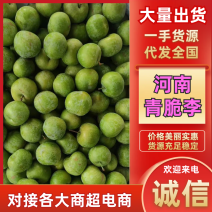 河南青脆李现货直发，甜度高，价格优惠，欢迎采购