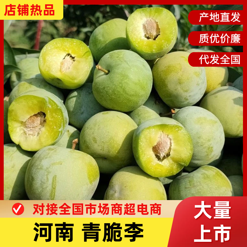 河南青脆李大量现货，价格优惠，可实地看货，欢迎的