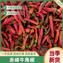 《赤峰牛角椒》内蒙古红辣椒/红牛角椒/日出1万斤/价美