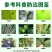 30%肟菌酯戊唑醇纹枯病稻瘟病稻曲病赤霉病锈病白粉病杀菌