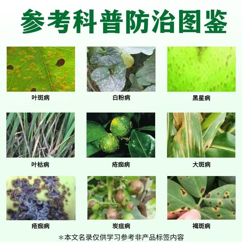 30%肟菌酯戊唑醇纹枯病稻瘟病稻曲病赤霉病锈病白粉病杀菌
