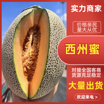 西州蜜瓜甘肃西州蜜瓜现摘现发货源充足放心购买