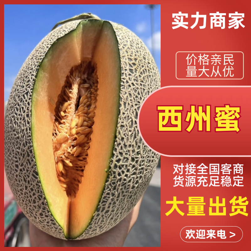 西州蜜瓜甘肃西州蜜瓜现摘现发货源充足放心购买