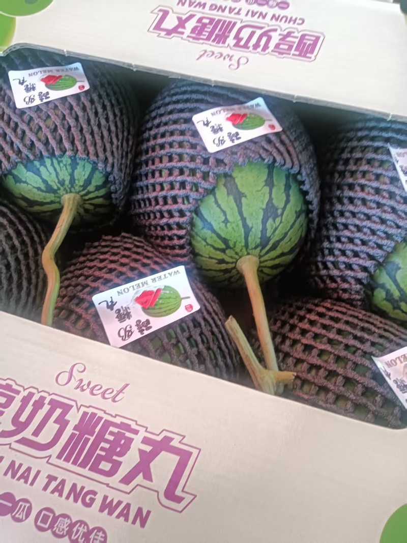 全美2k西瓜吊瓜大量有货可发全国价格可谈