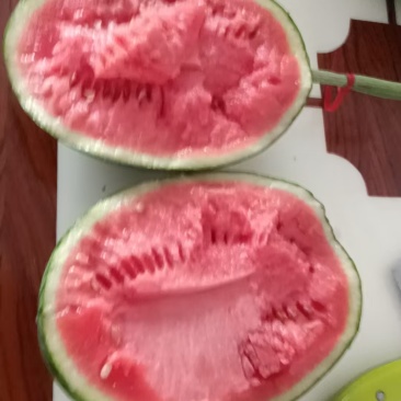 全美2k西瓜吊瓜大量有货可发全国价格可谈